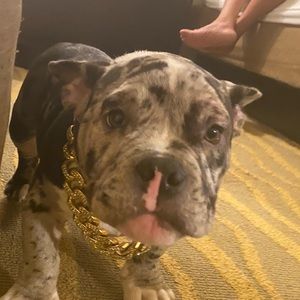 Meet your Posher, Timothy